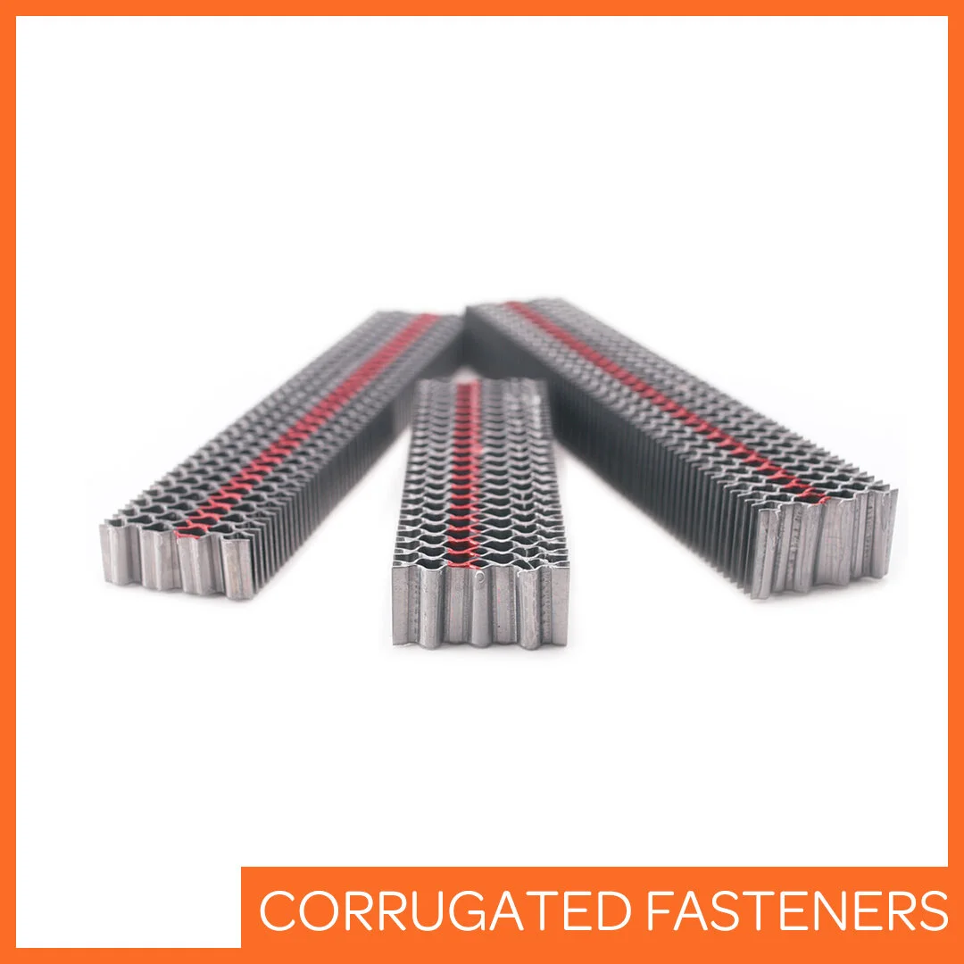 CORRUGATED FASTNERS.jpg