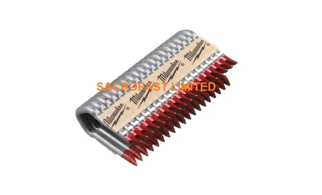 FS STAPLES web.jpg