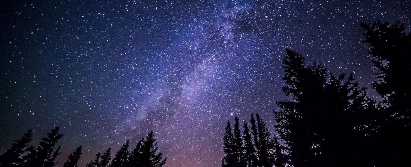 stargazingf.jpg