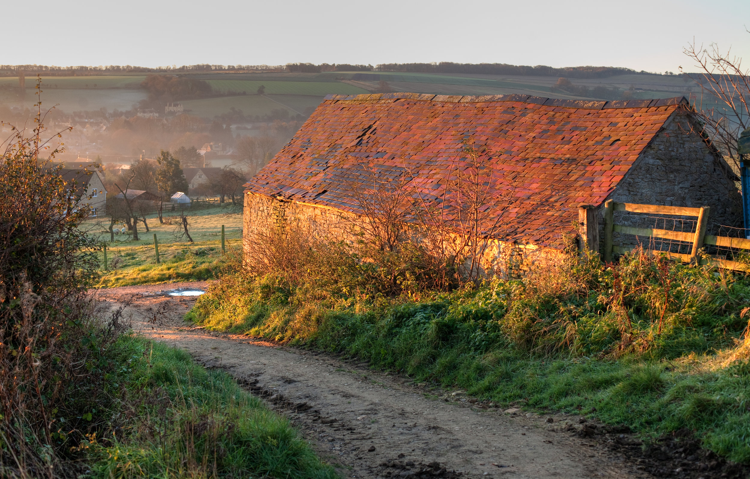 Depositphotos_35453757_xl-2015.jpg