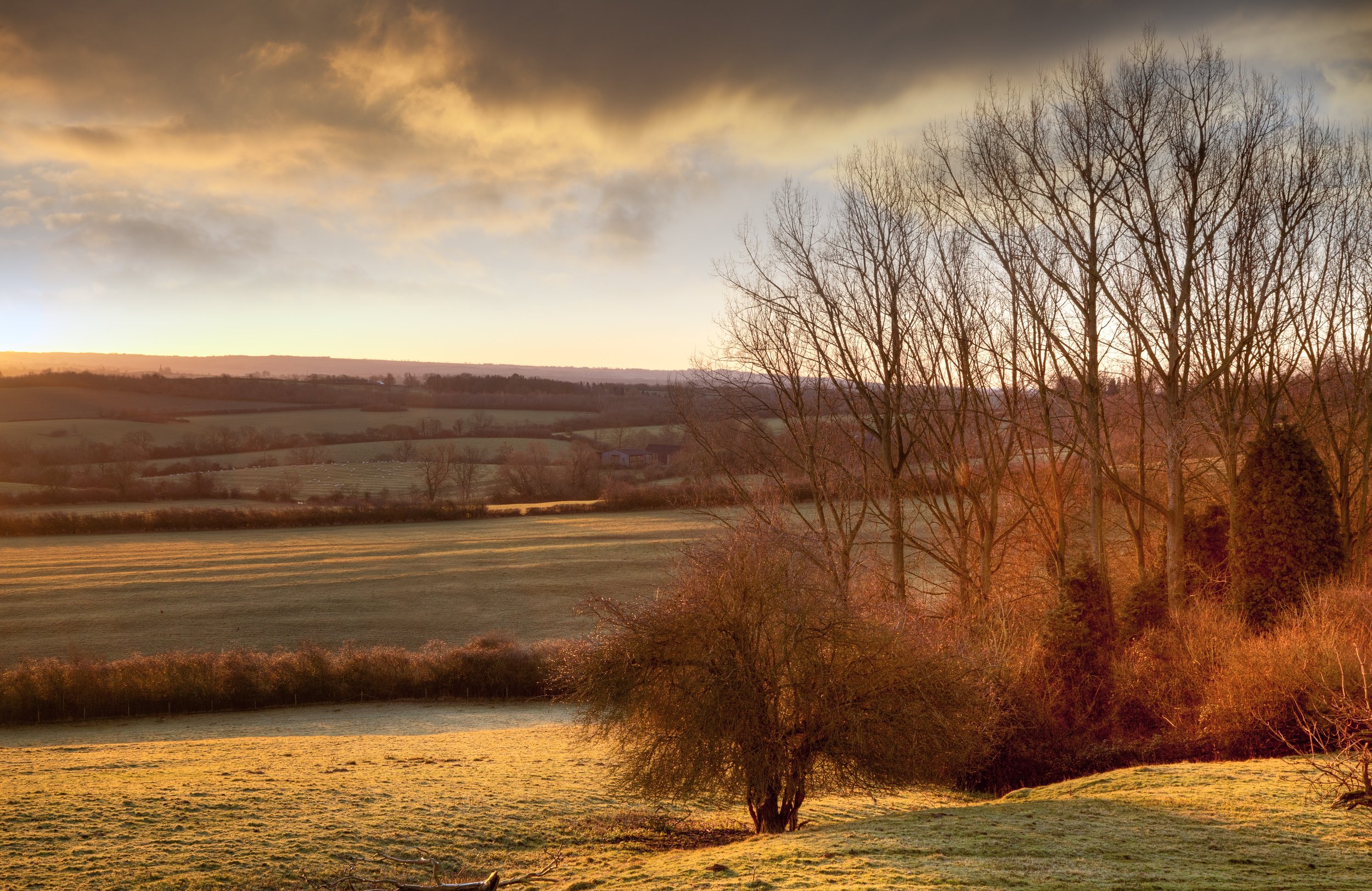 Depositphotos_38909607_xl-2015.jpg