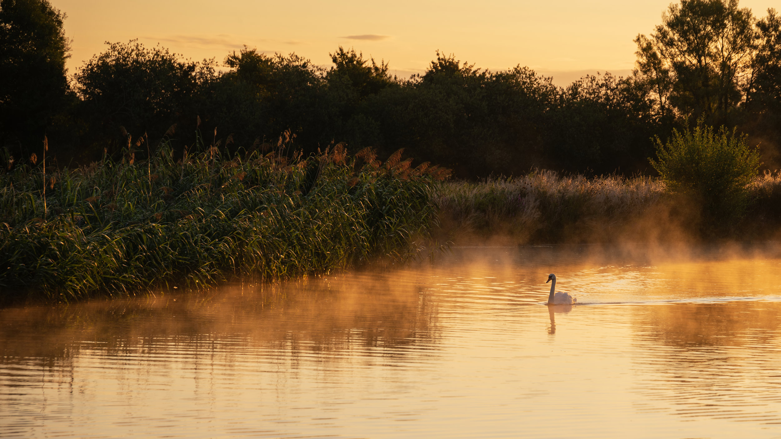 Depositphotos_215620504_xl-2015.jpg