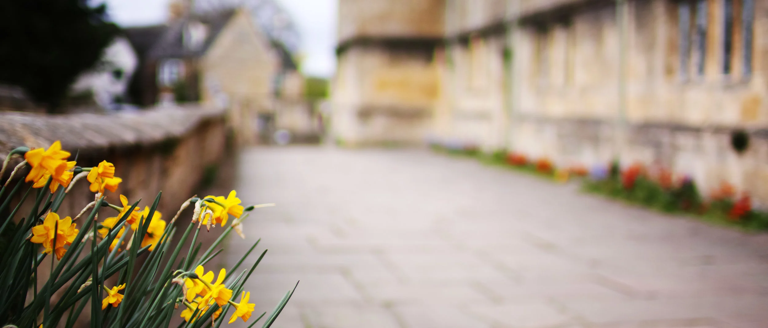 Cotswold Journeys Walking Tours & Hiking Vacations