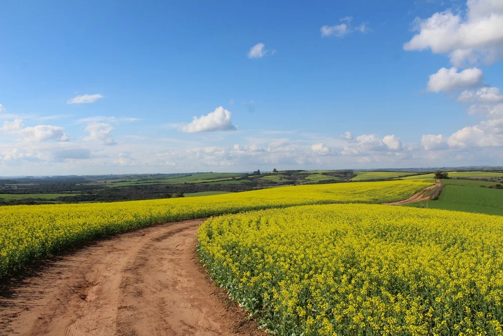 countryside.jpeg