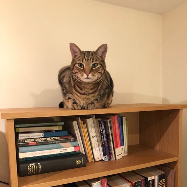 Bookcase monster.