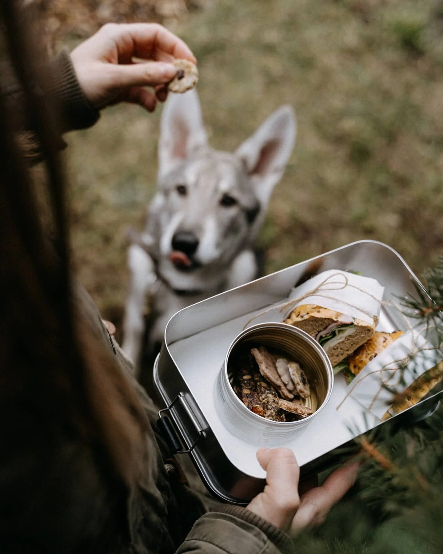 Když pl&aacute;nujeme nějak&yacute; v&yacute;let, mysl&iacute;me na to, že by n&aacute;m bylo l&iacute;to, kdyby si svačinu neužila Luna s n&aacute;mi. 
Ale co vybrat? Občas dostane kousek na&scaron;&iacute; zeleniny nebo ovoce, ale jsme rad&scaron;i