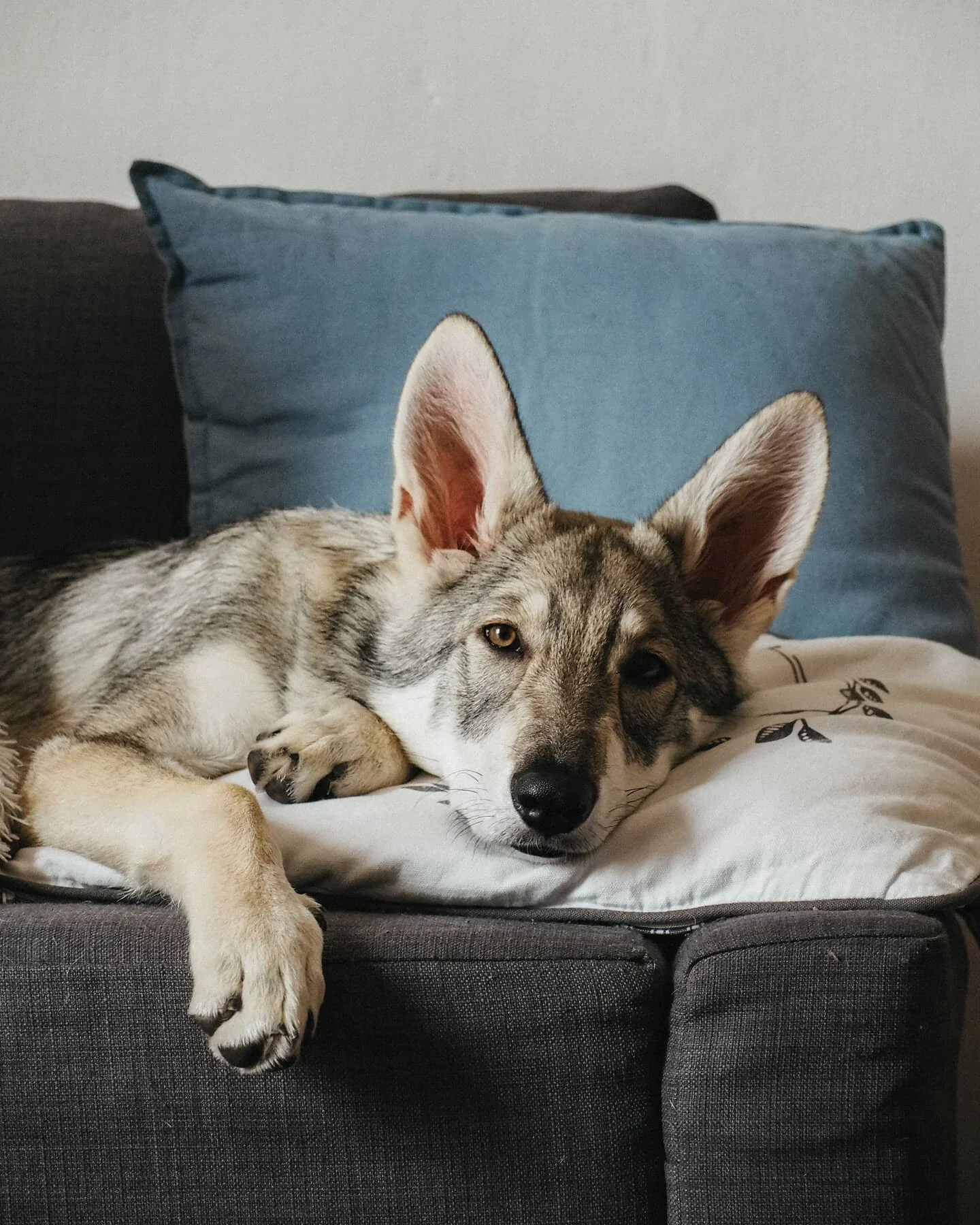 No a co teď?
J&aacute; teda nev&iacute;m, jak j&iacute; m&aacute;m najednou vysvětlovat, že sice při&scaron;lo slun&iacute;čko a teplo, ale za dobrodružstv&iacute;m jen tak nepojedeme.
Už jsem j&iacute; sl&iacute;bila n&aacute;v&scaron;těvu jej&iacut