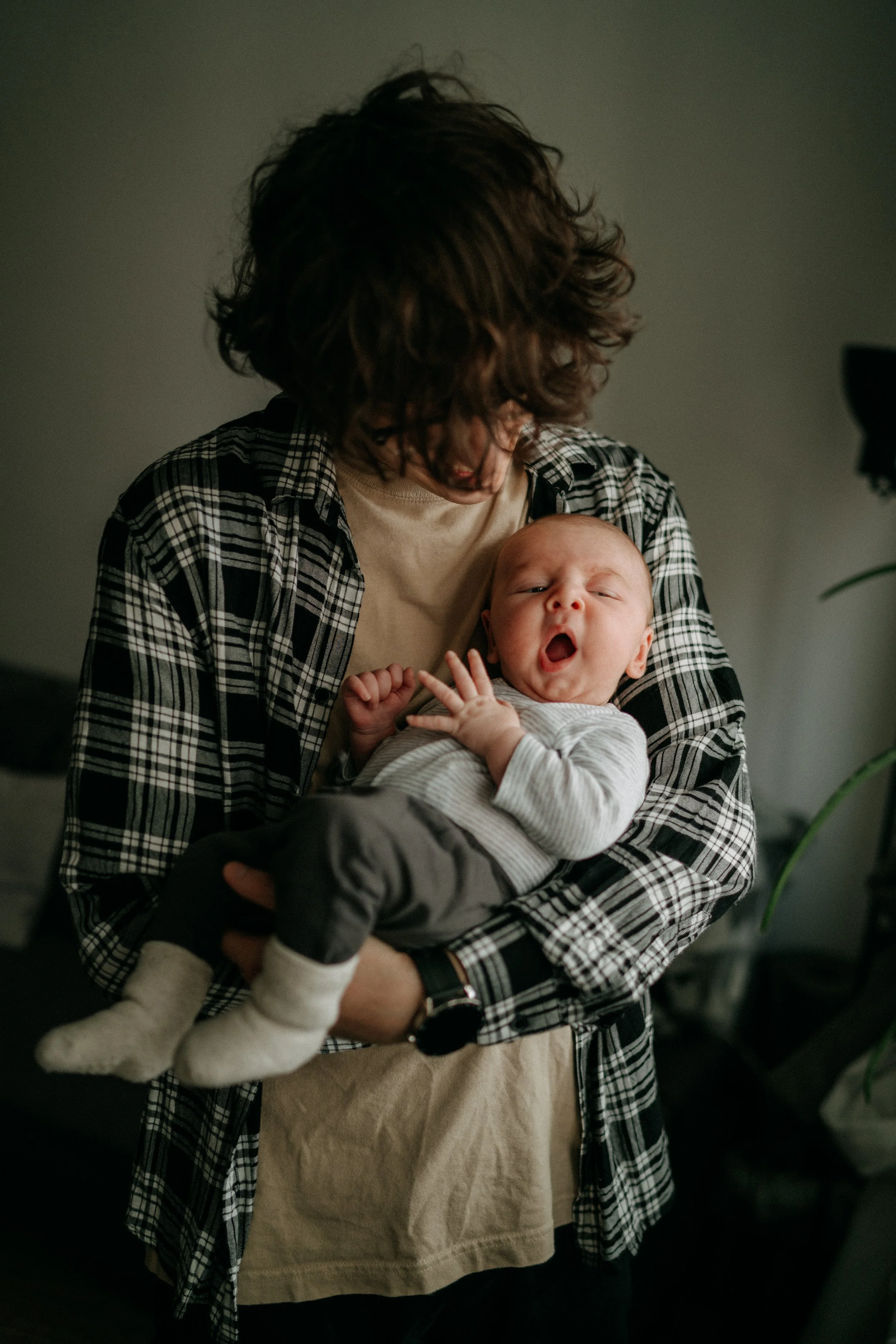 Family | Visinger