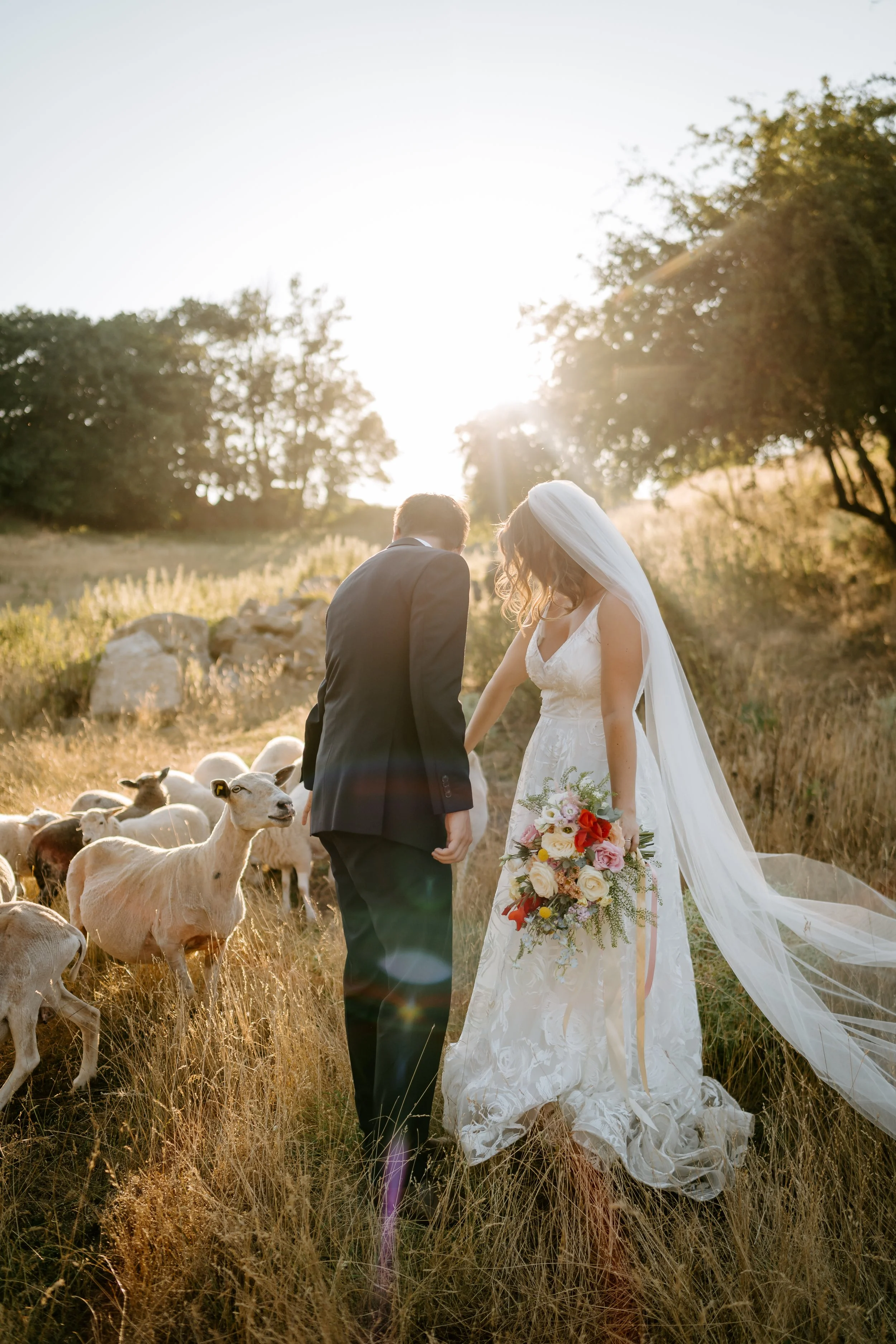 Letní svatba na Farmě Tasov | Dobešovi