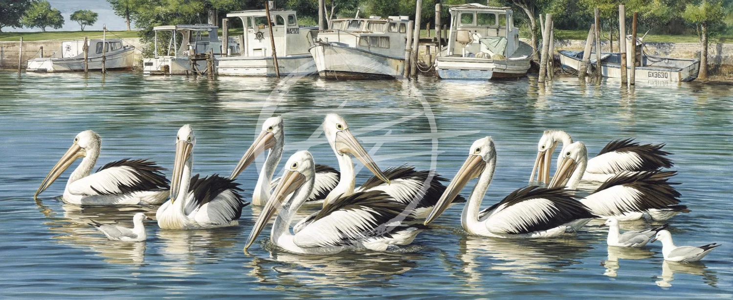 Boating Party