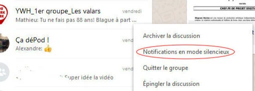 WhatsApp_Print+%C3%A9cran_Le+r%C3%A9seau+%C3%A0+faire_Notifications+en+mode+silencieux.jpg