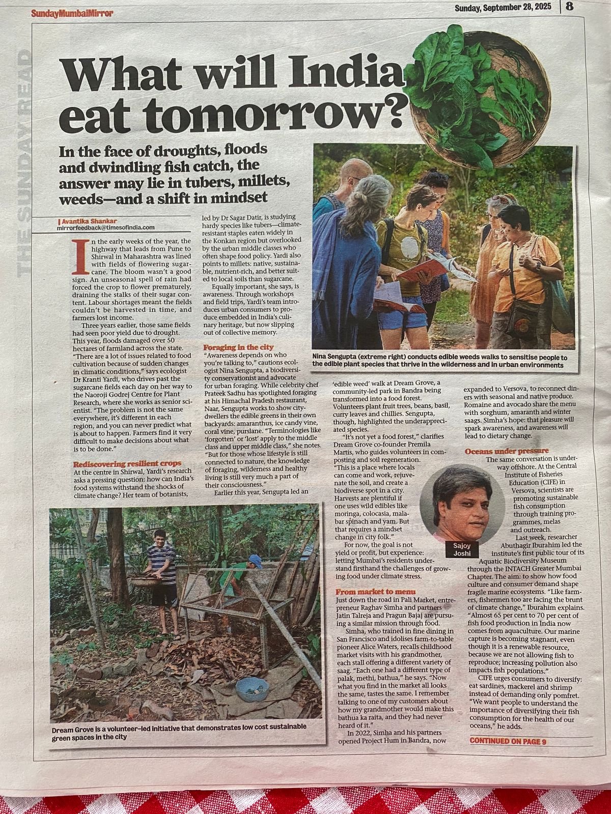 WhatsApp Image 2025-09-28 at 12.11.57.jpeg