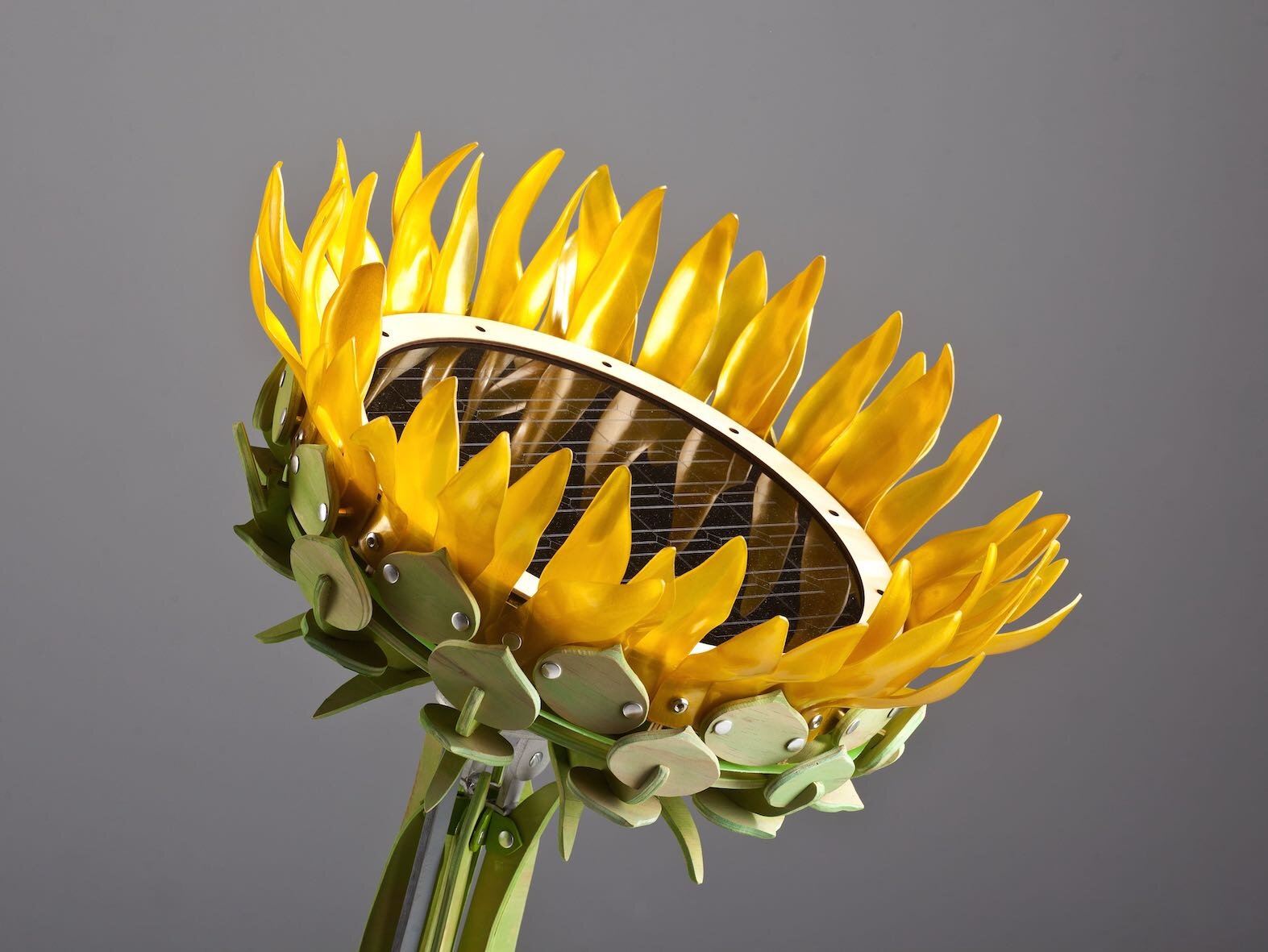 Sunhub - flower detail - Sally Wickes web.jpeg