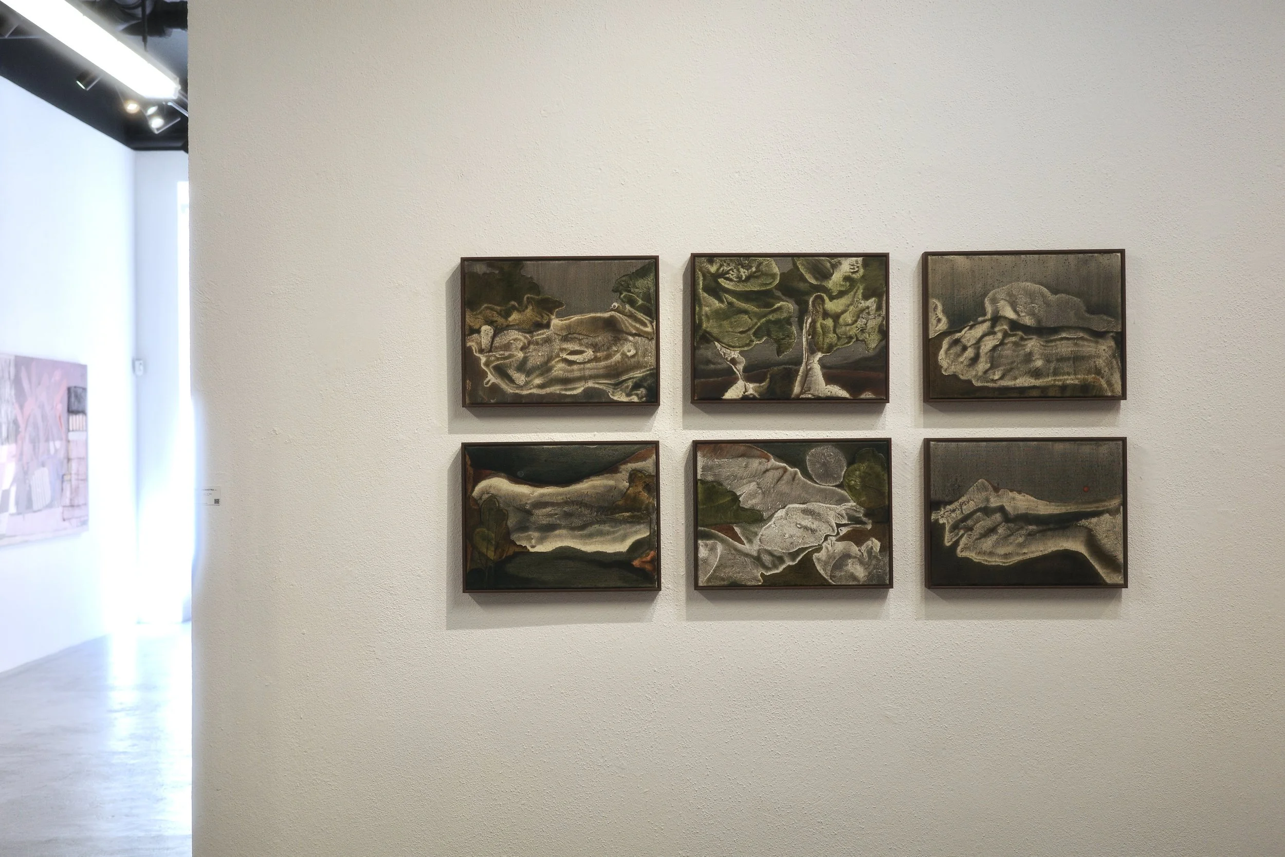 "Landscape of my Chest I-VI"
Pigments, ashes, oil, oil stick on linen
30x40cm - framed 