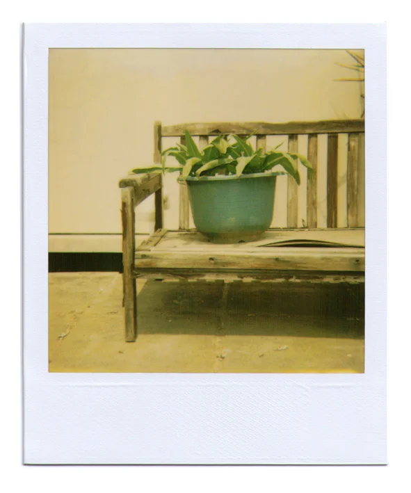 Pola-2012-09-24-13.jpg