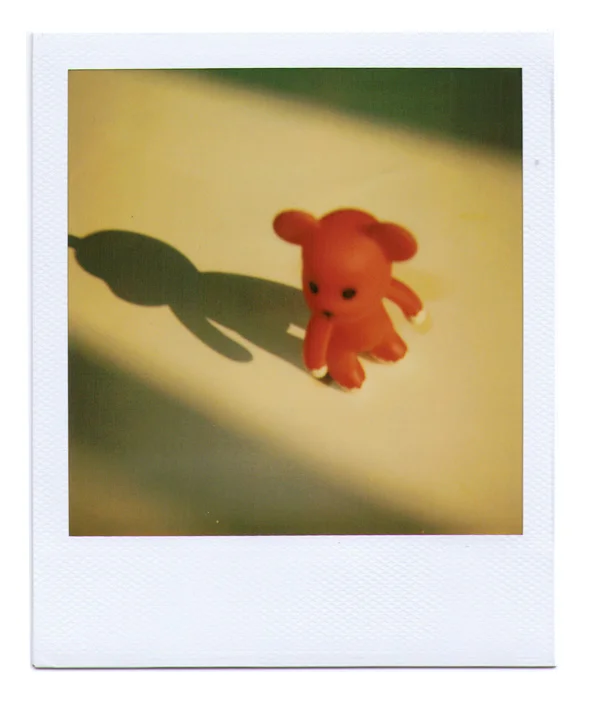 Pola-2012-09-24-7.jpg