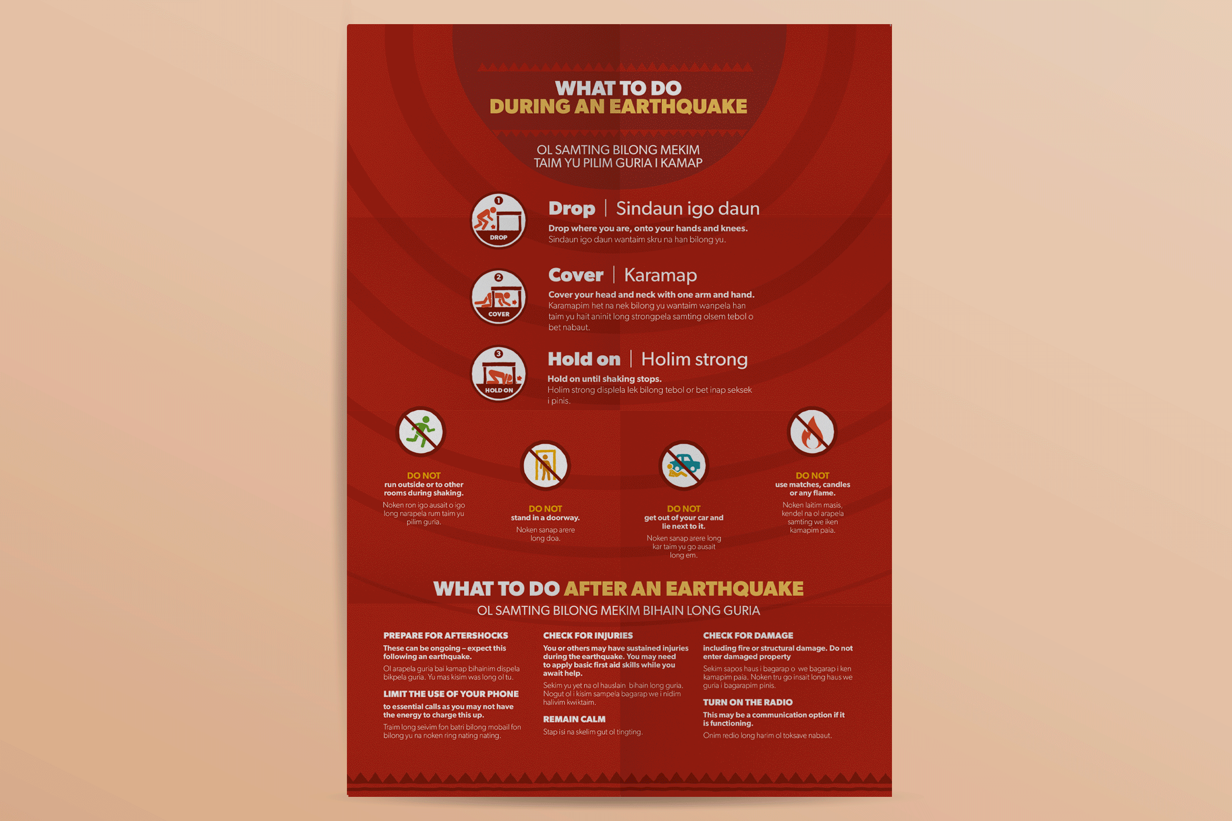 2019_Disaster-Toolkit_Poster_4_2.GIF