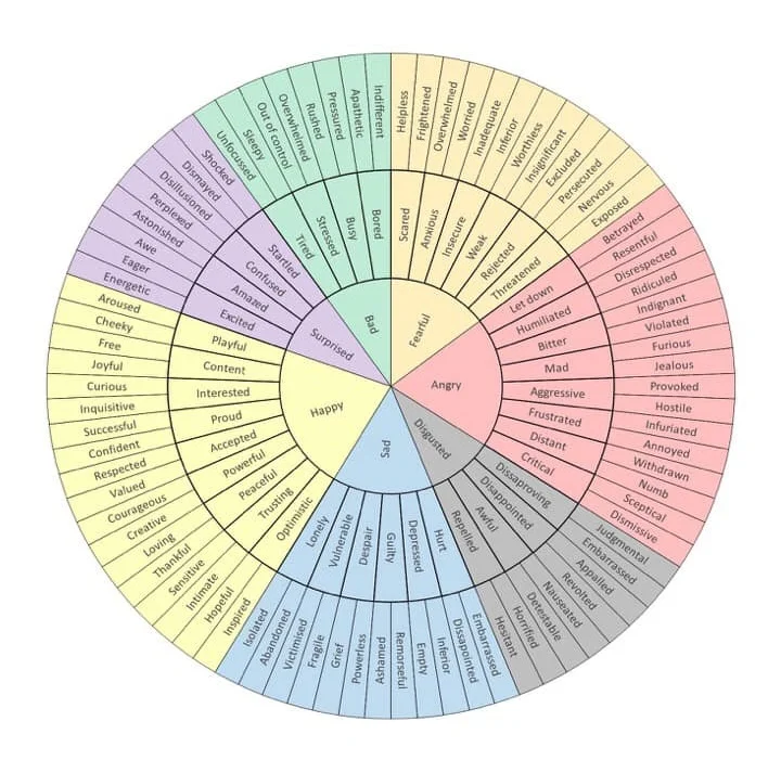What you make of Plutchicks Wheel of Emotion?