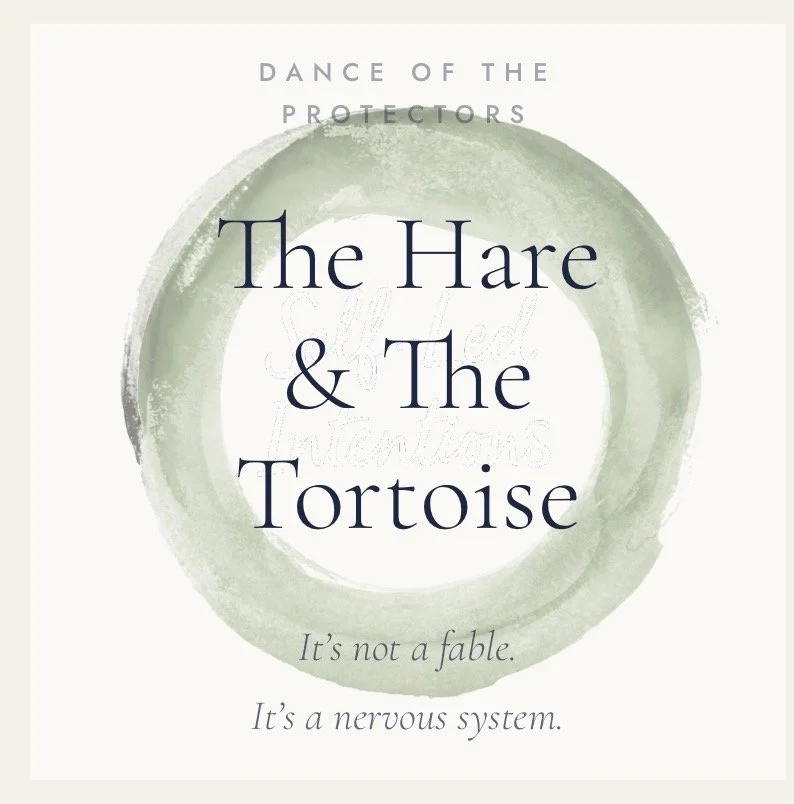 The Hare and the Tortoise