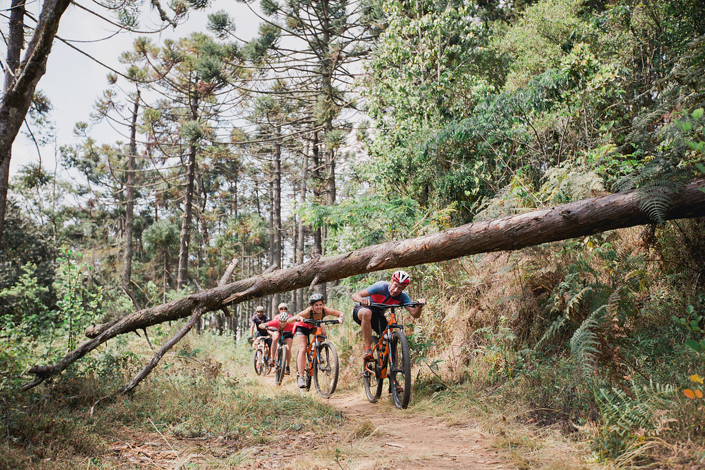 VN Biking under tree Zomba Terrain.jpg