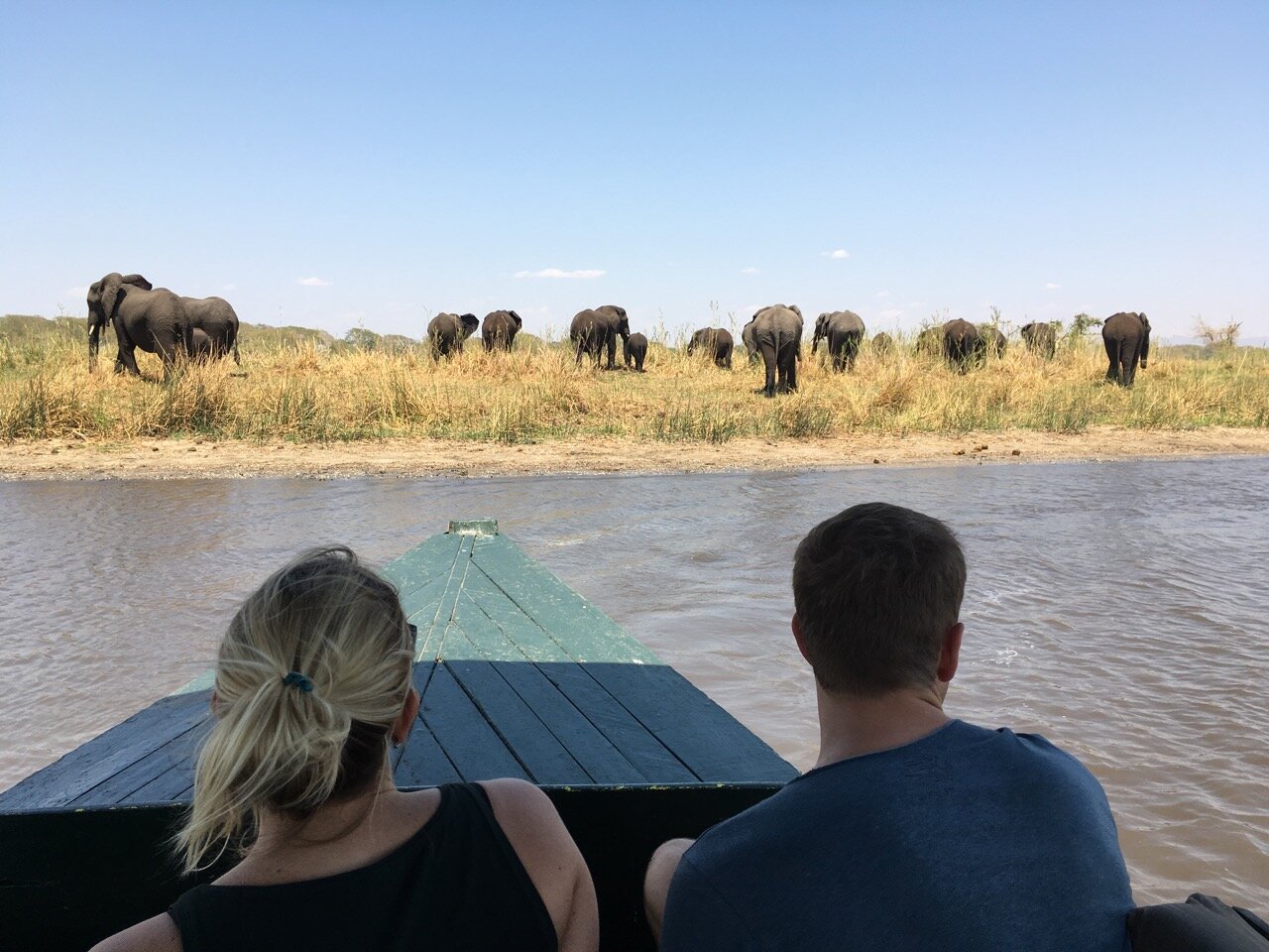 2016 Elephants on boat safari 2.jpg