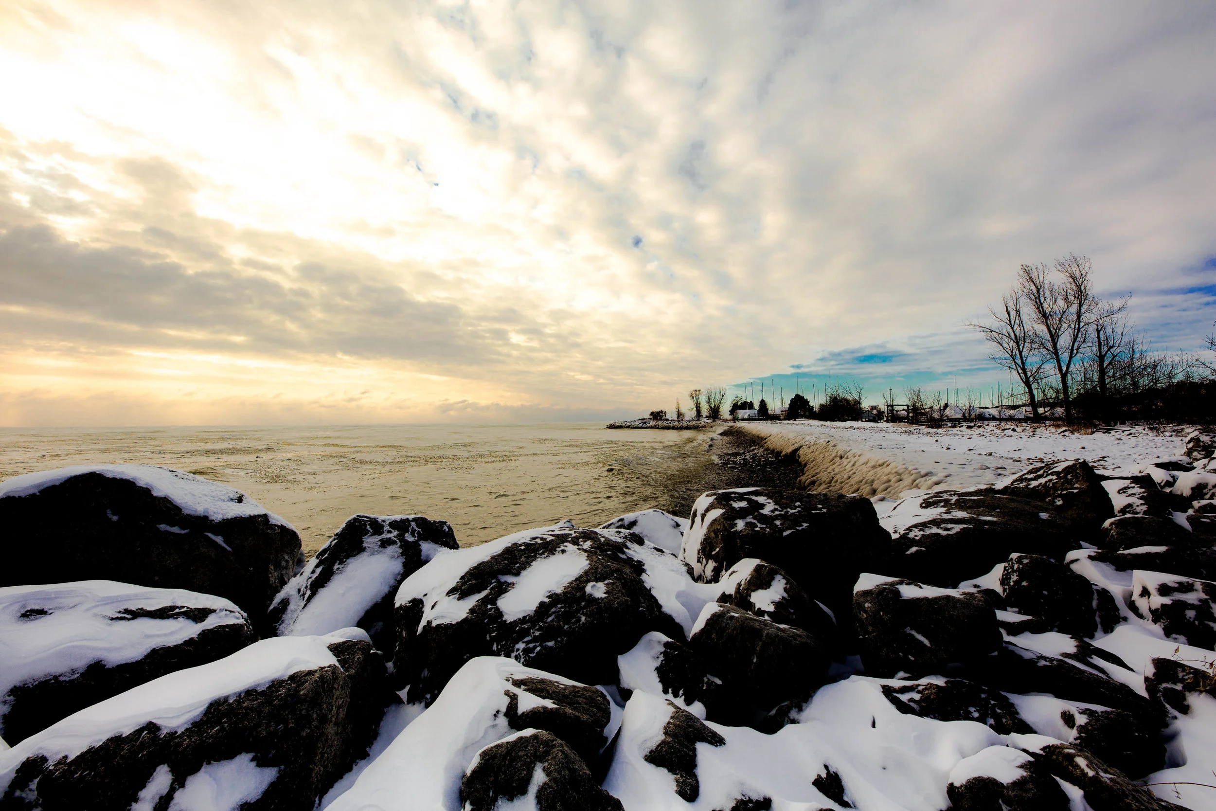 Yorston_M_Landscape.jpg