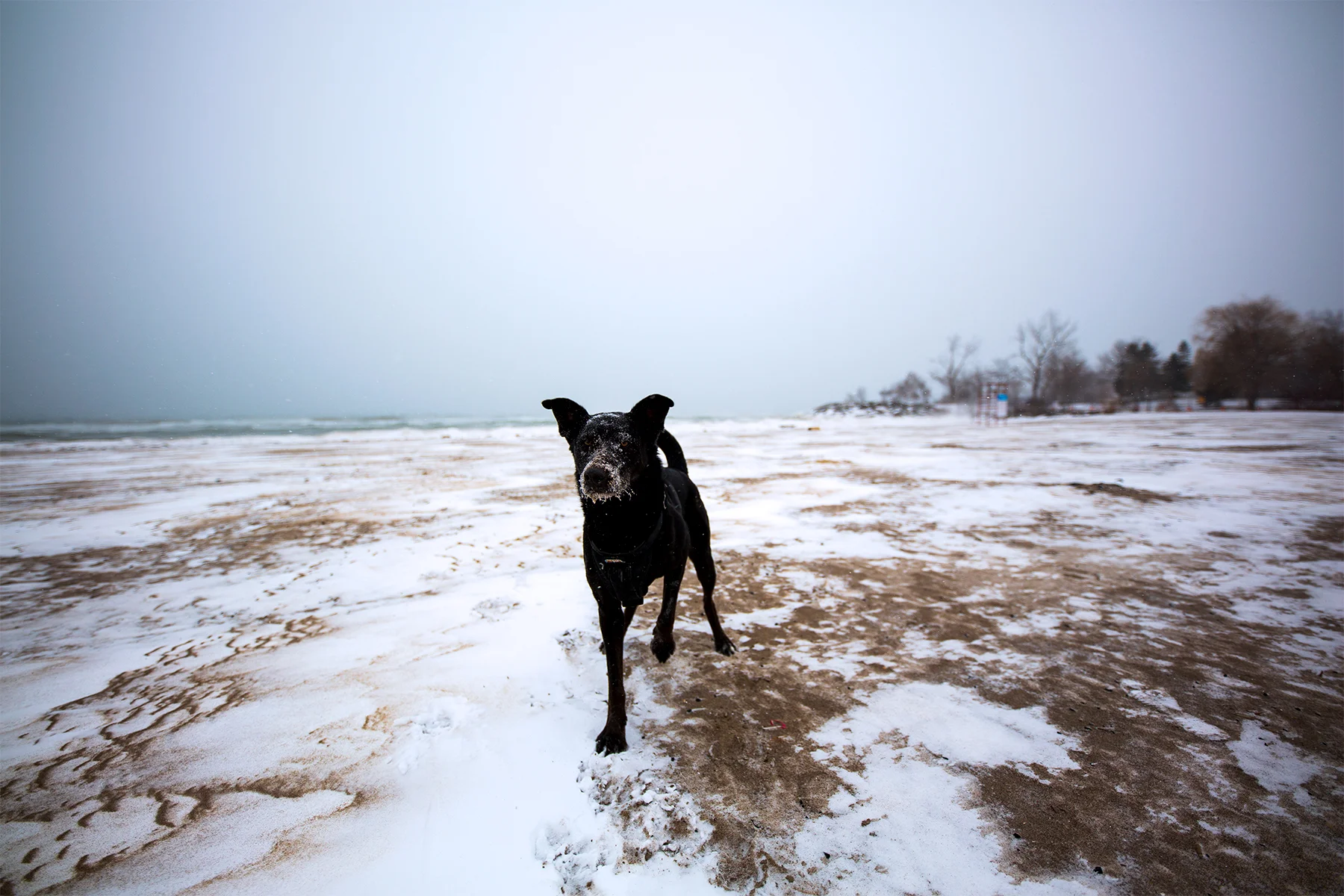 Gary winter beach 1 sm.jpg