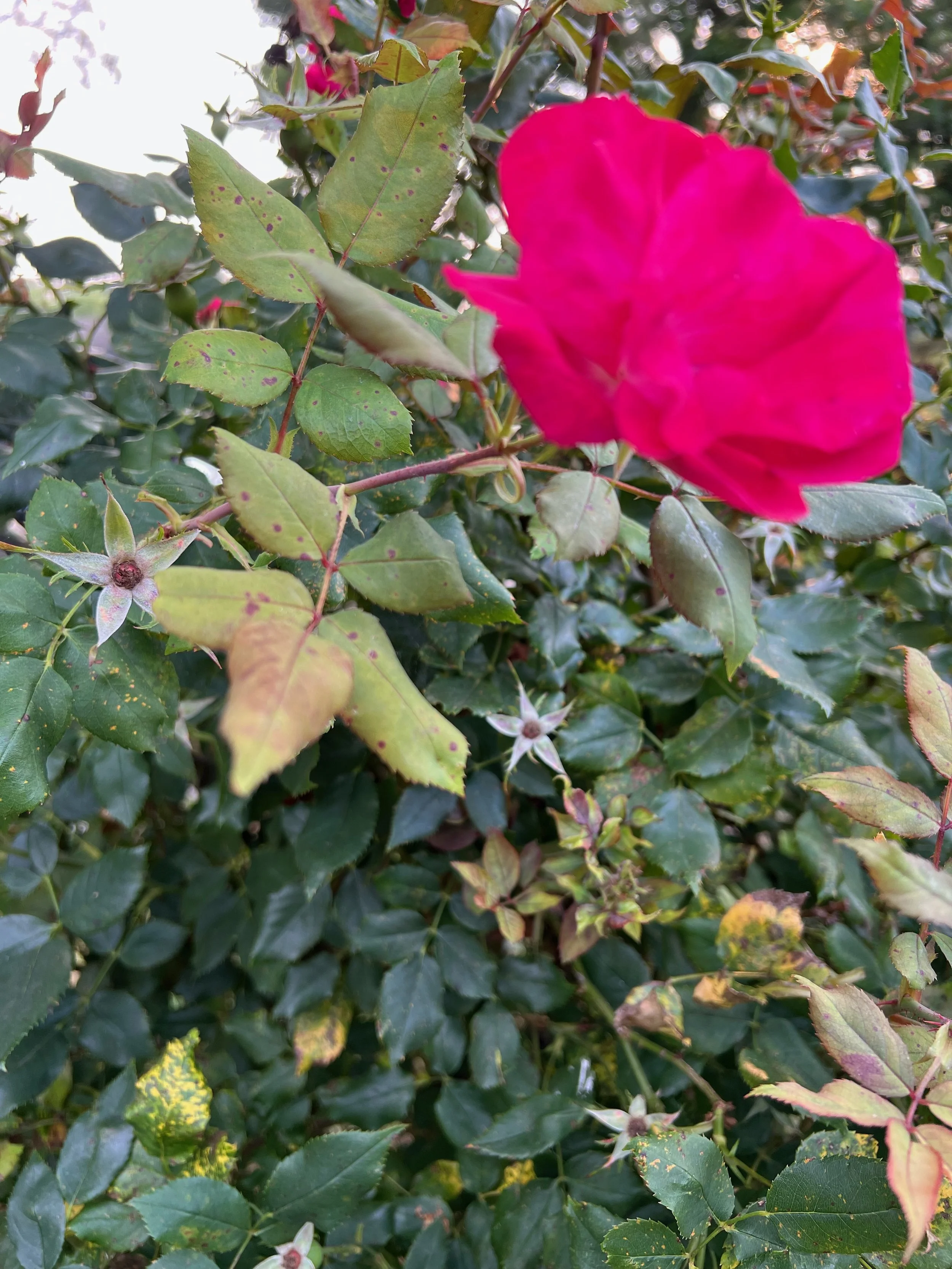 Where Is Your Life Going? - A Devotional