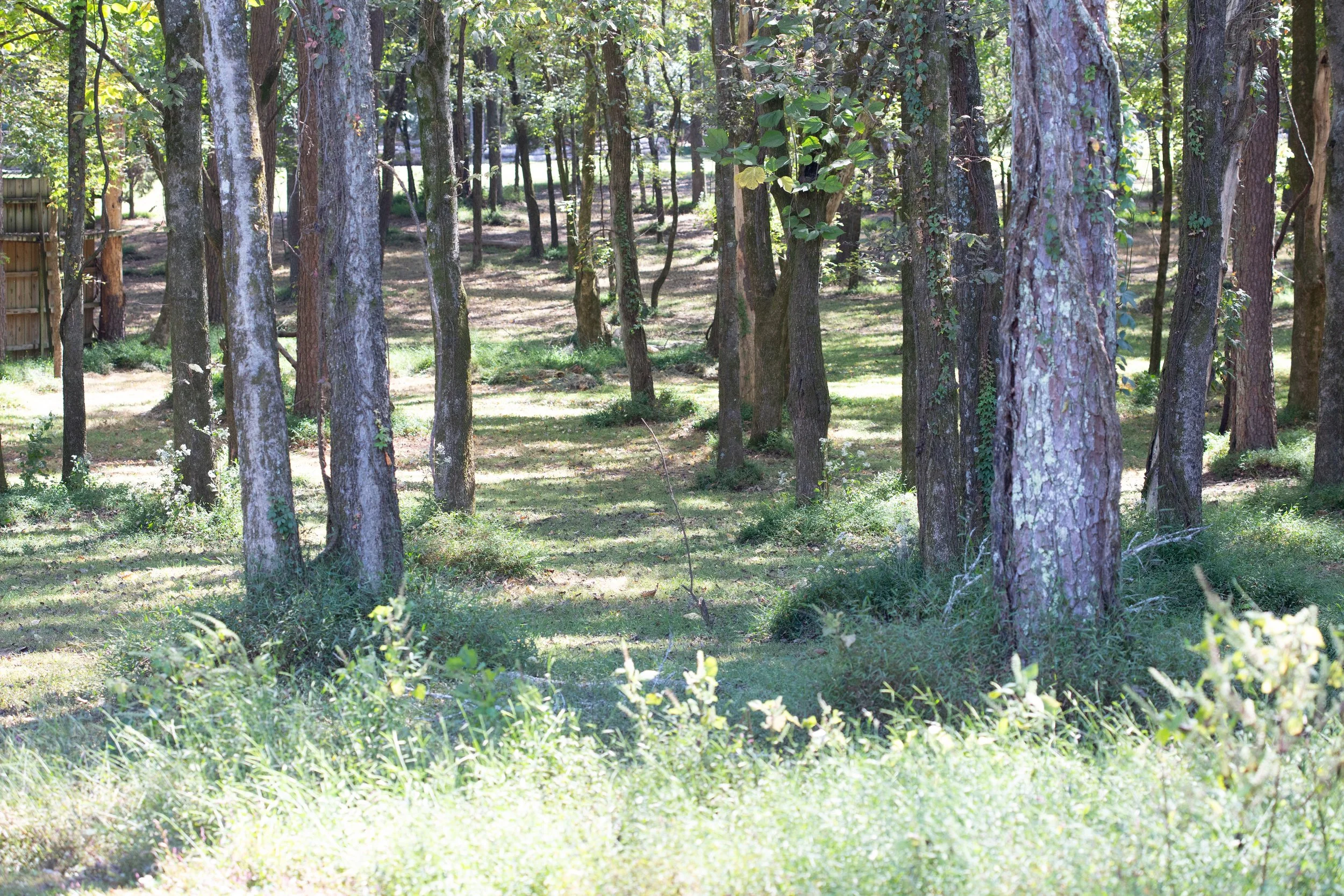 Troubadour Writing Retreat-144.jpg