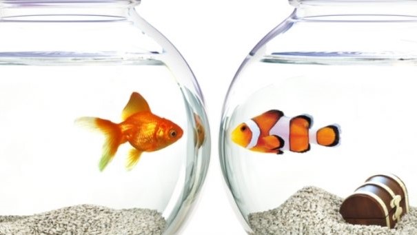 compare yourself to others.jpg