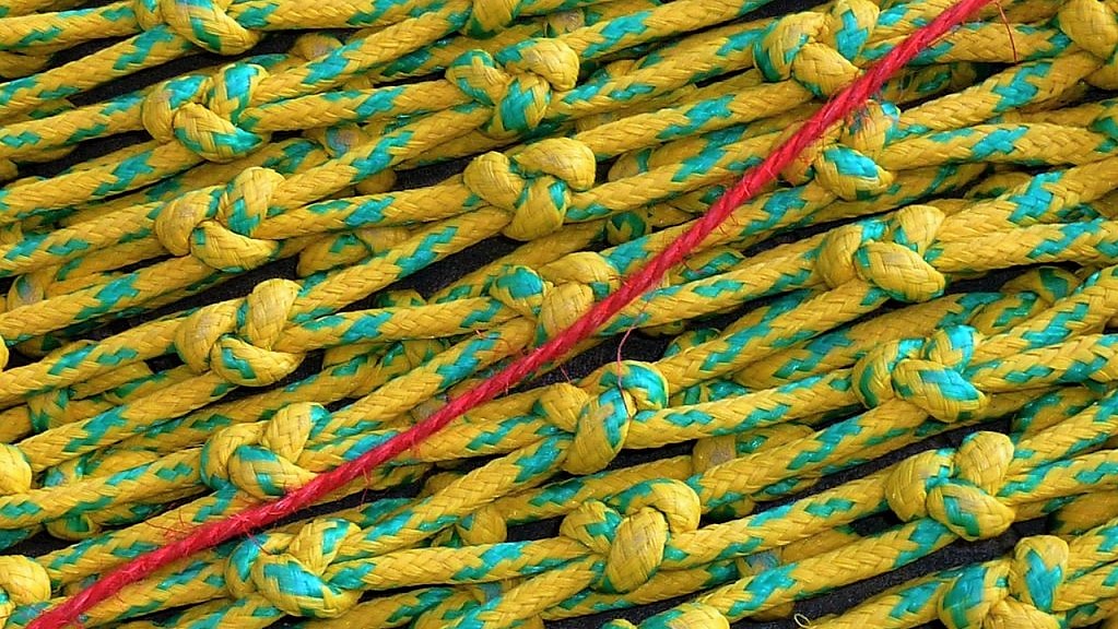 safety-net.jpg