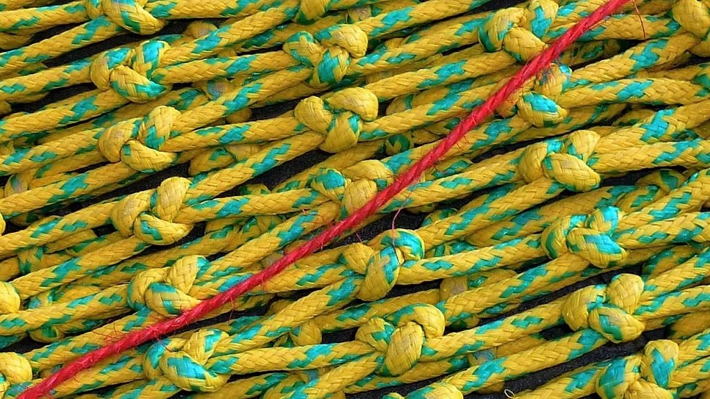 What if You Ditched Your Safety Net?