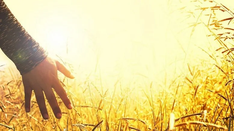 Are You Waiting Until You Get 'Somewhere' Before You Do What You Really Want?