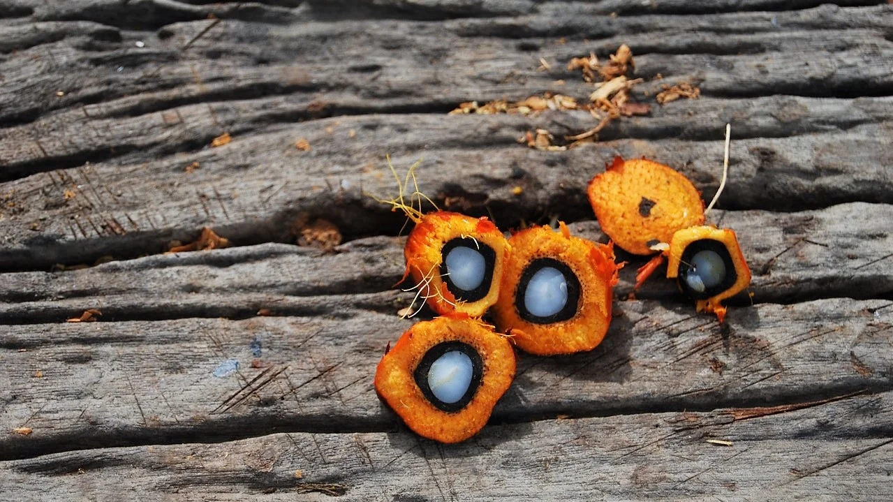 The First Domino: where to start with complex global challenges?