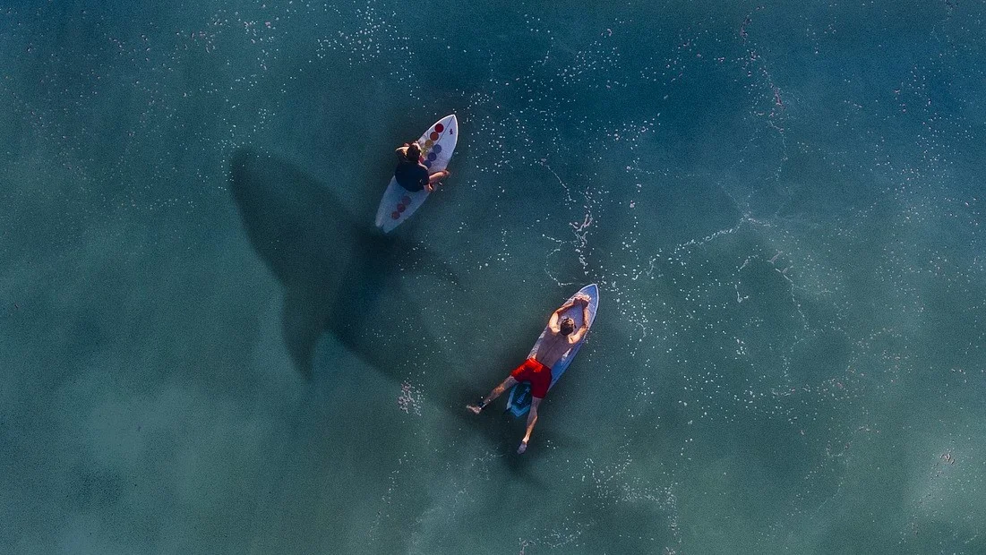 Leaning Into Failure: What are You Making it Mean?