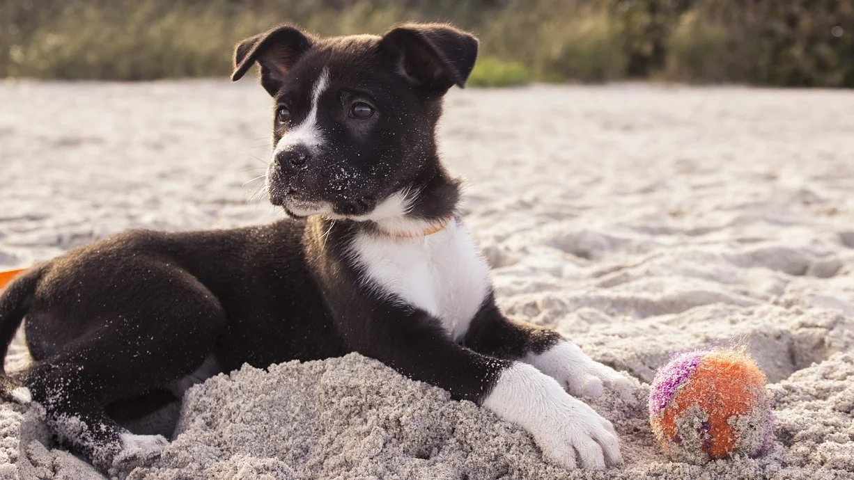 The Perfect Conditions for Creativity and Innovation