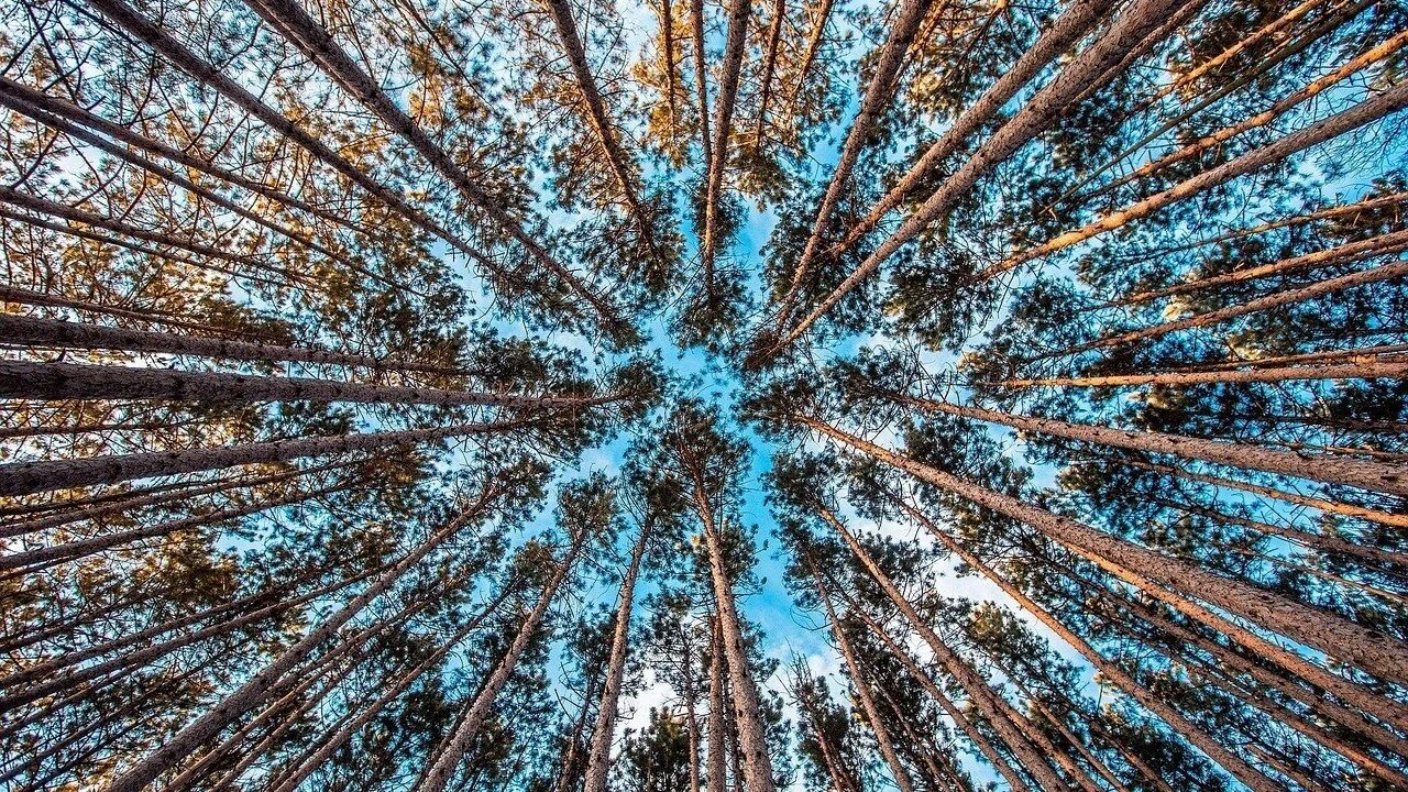 Gift Yourself Time: the ultimate path to a peaceful relationship with yourself and others