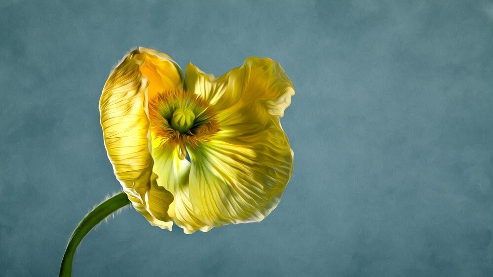 The Problem With 'Living up to Your Full Potential'