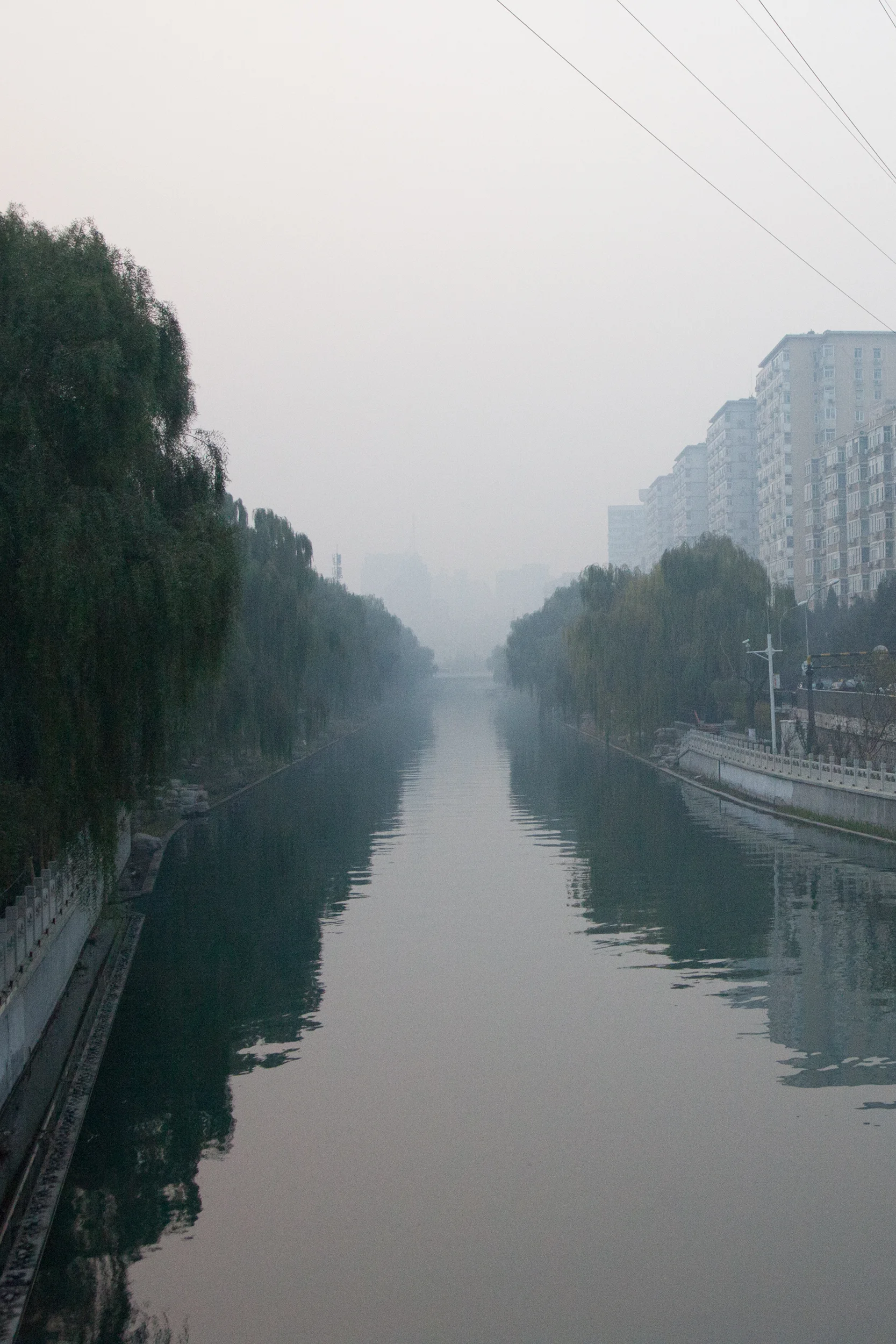 _MG_2482n.jpg