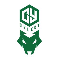 CY Select