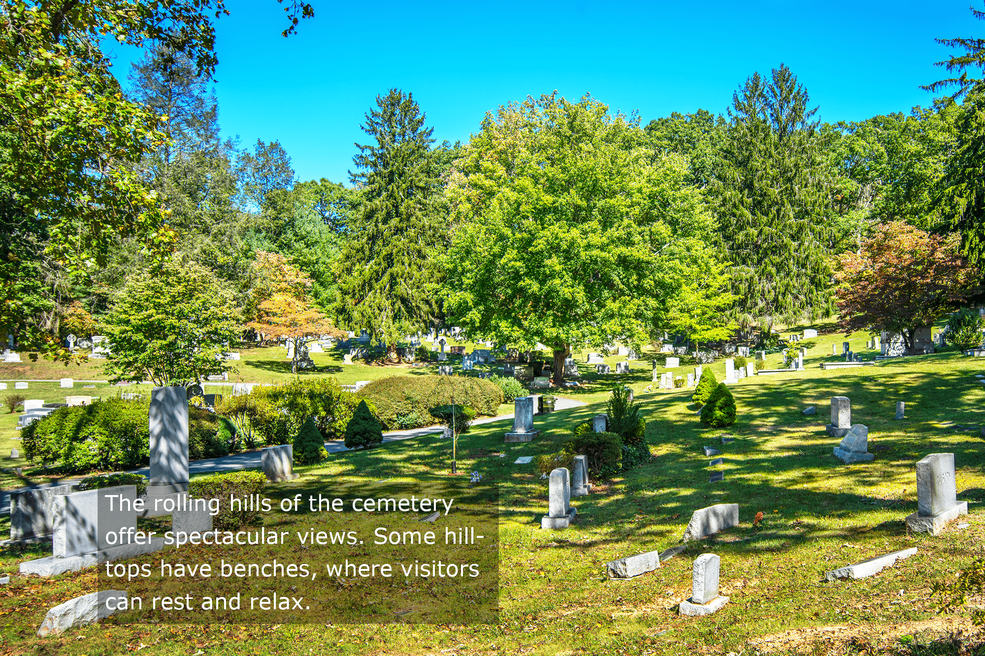 Asheville - Montford - Riverside Cemetery - Rolling Hills