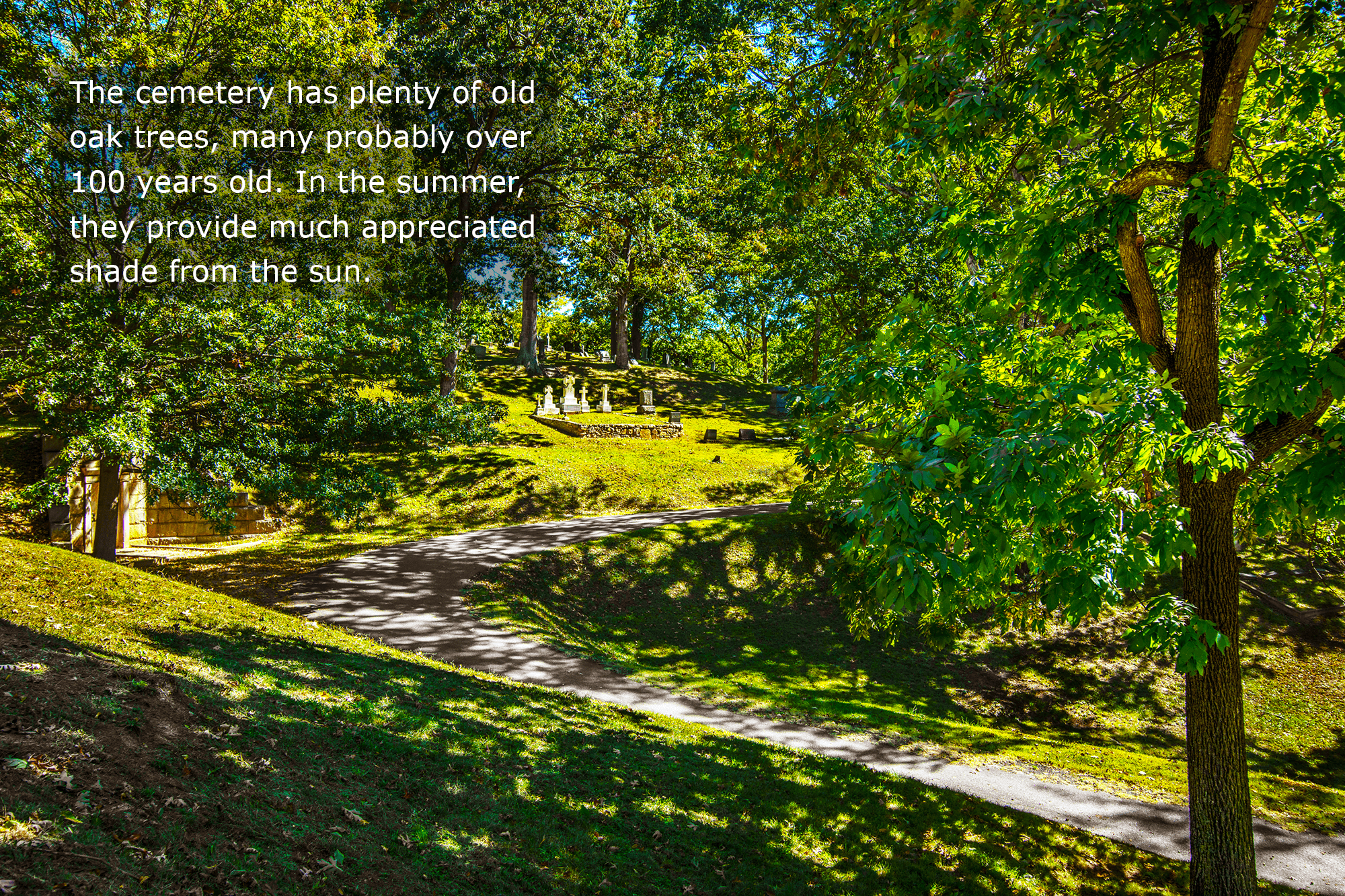 Asheville - Montford - Riverside Cemetery - Shaded Path