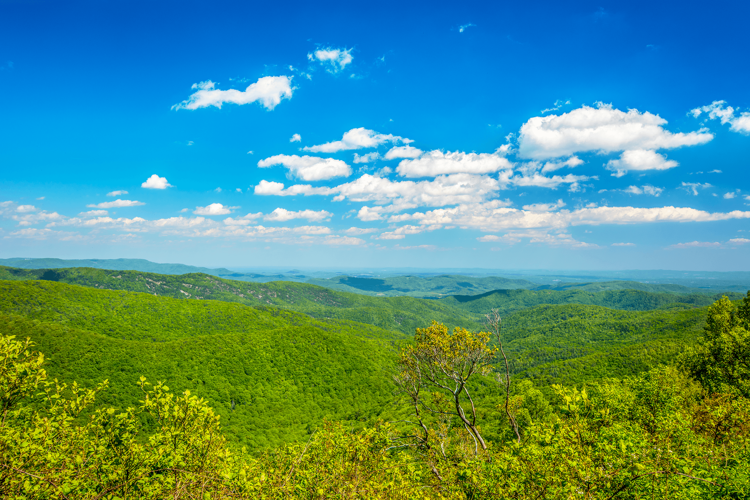 View Bluff Mountain at Milepost 243.4 on the Blue Ridge Parkway offers beautiful vistas overlooking Doughton Park. It also provides hikers access to the easy 7.5-mile (12 km) Bluff Mountain Trail , which reaches the Brinegar Cabin after 4.7 miles (7.6 km).