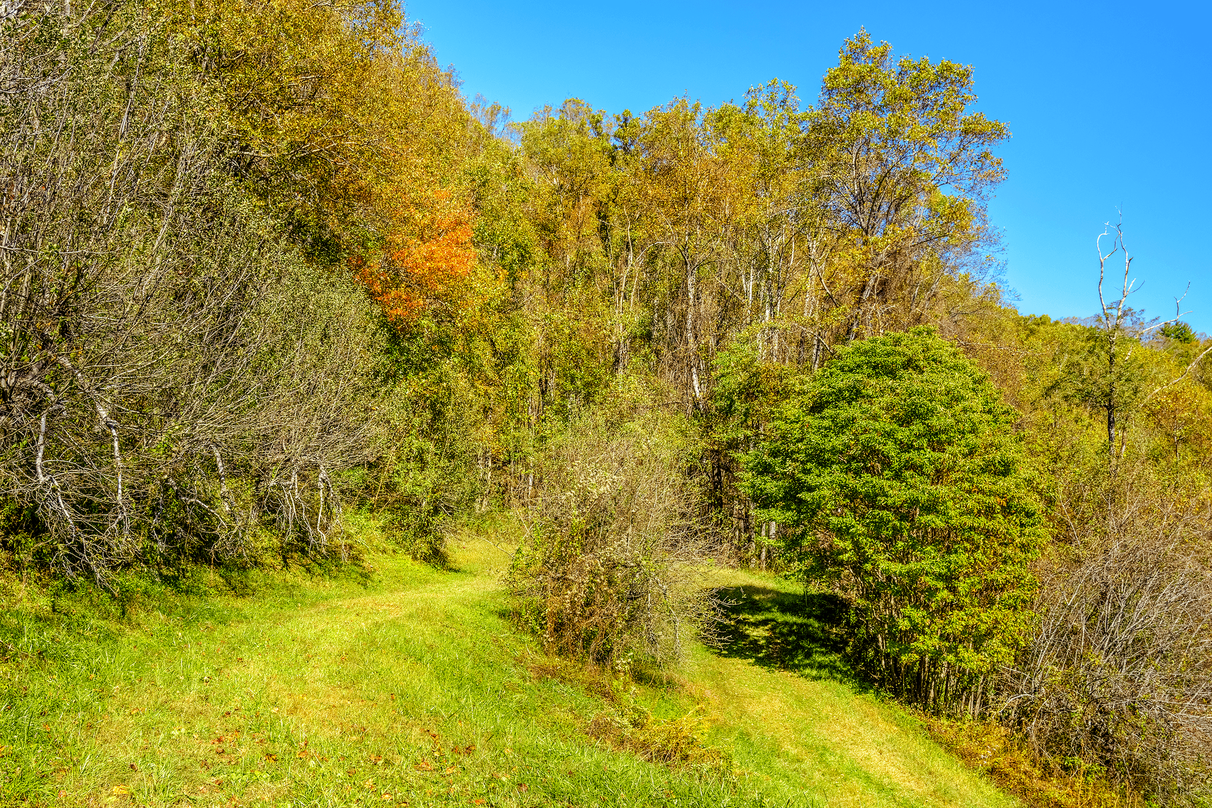 Fall is particularly beautiful for a hike. The mornings are crisp but during the day it is still warm.