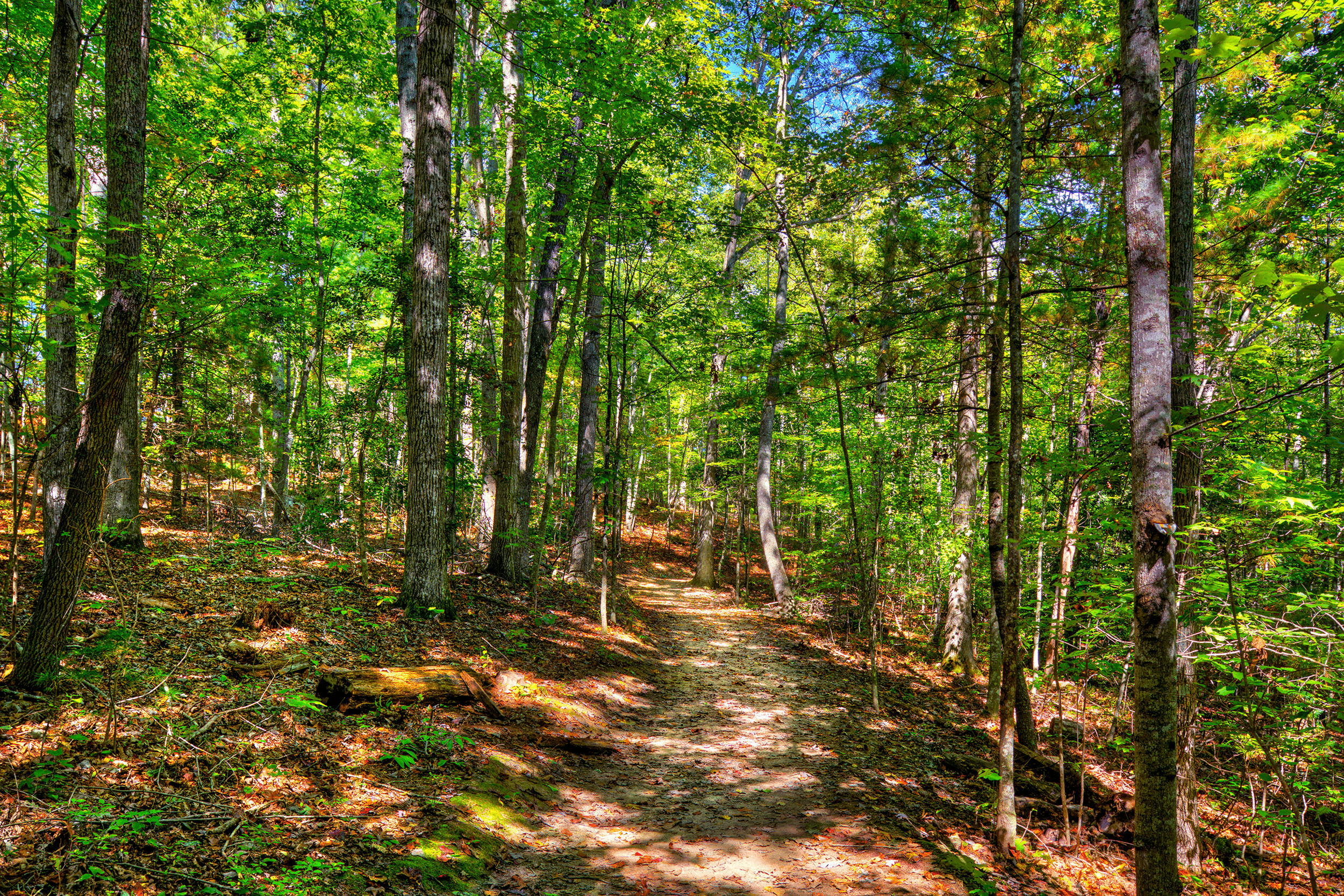 Six of the 11 trails are designated only for hikers. The paths are generally well maintained and vary from easy to difficult.