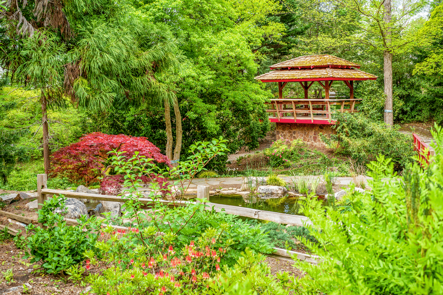 Botanical Gardens at UNC — Travel Book — Lavilo®