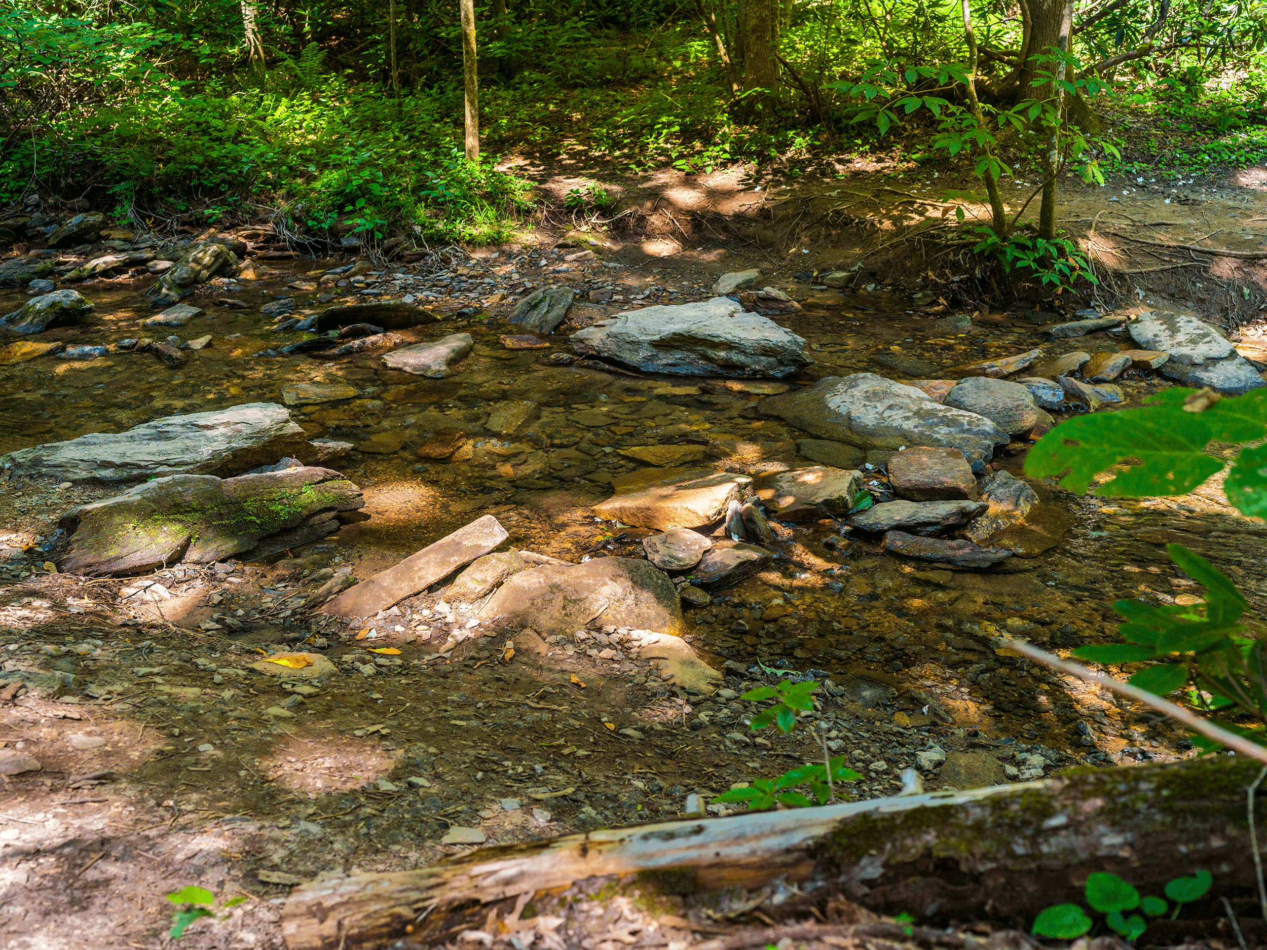 The Exclamation Point Trail connects to the Skyline Trail at Exclamation Point. The moderate-to-strenuous Skyline Trail meanders through the forest on its way to the Upper Hickory Nut Falls . After 1 mile you reach Falls Creek , which you need to cross to get to the viewing platform of Upper Hickory Nut Falls .