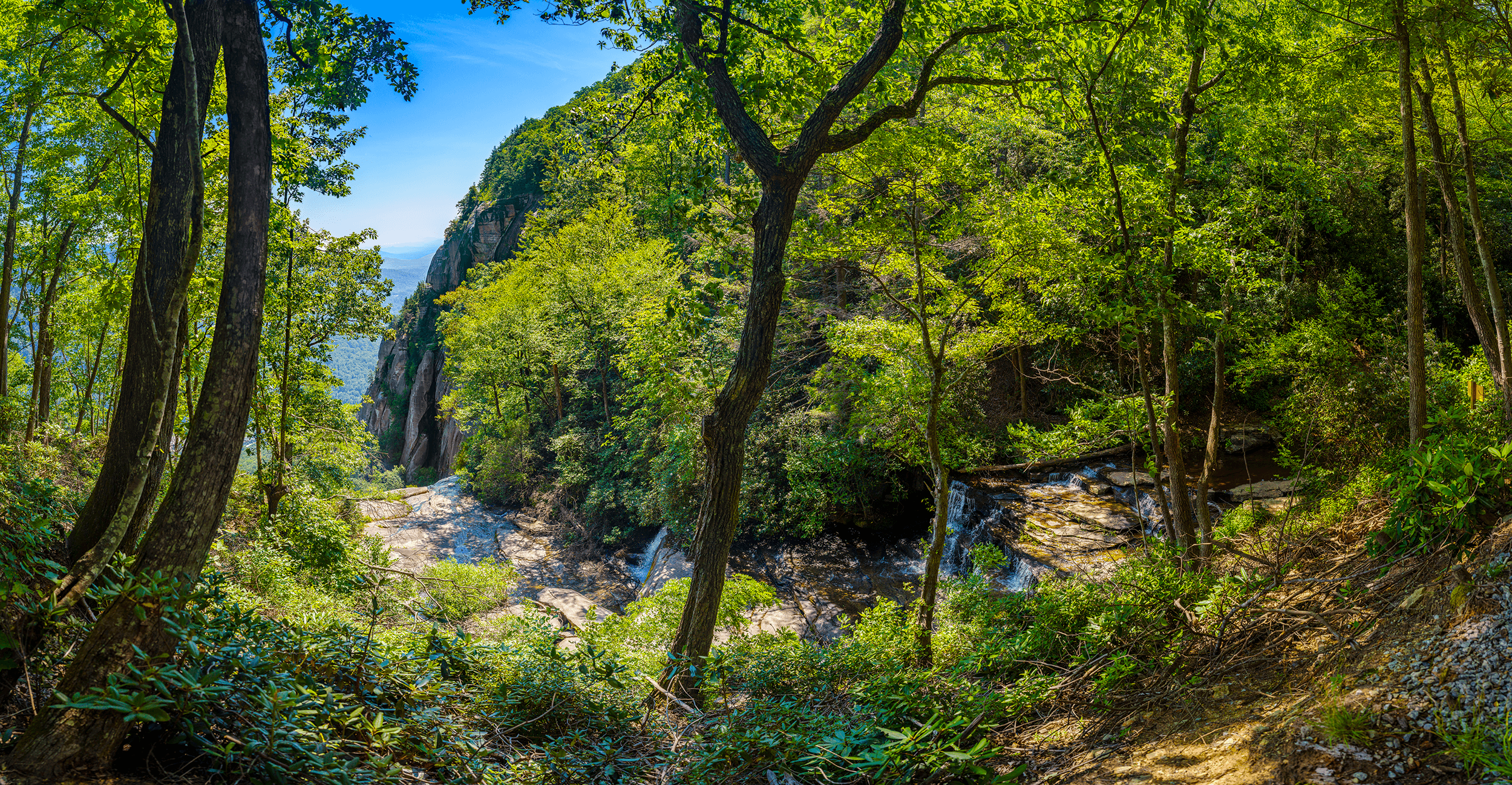 The Skyline Trail ends at the viewing platform (elevation 2,590 feet -789 meters). The platform offers scenic views of Hickory Nut Gorge and Falls Creek , whose 404-foot plunge begins here.