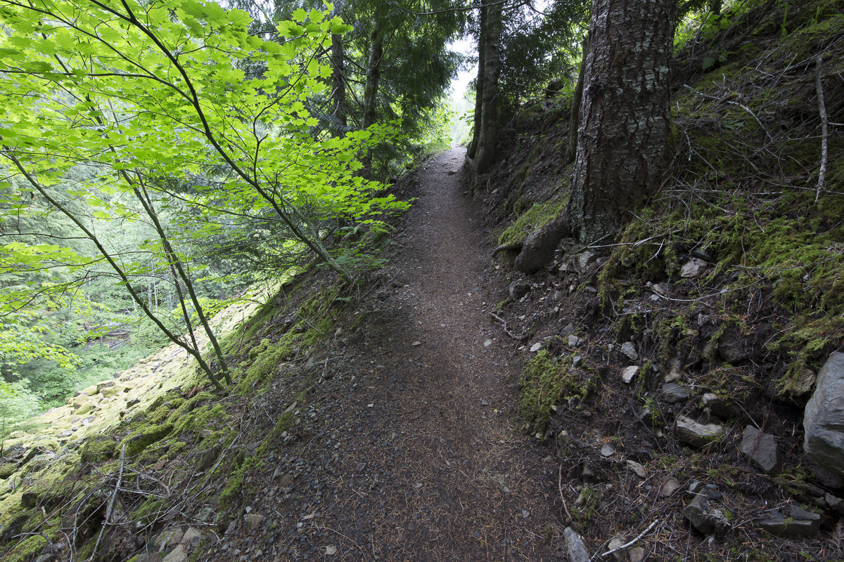 Trail to the viewing area