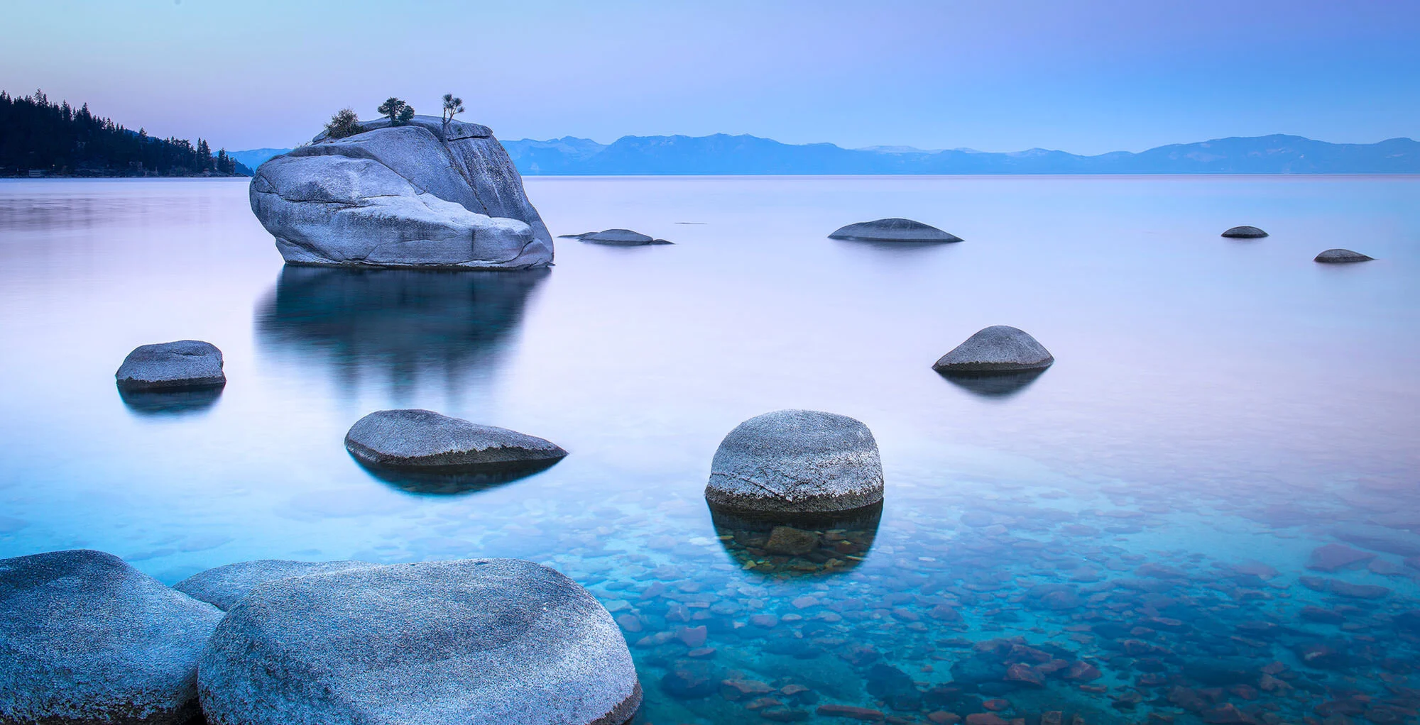 Bonsai Rock